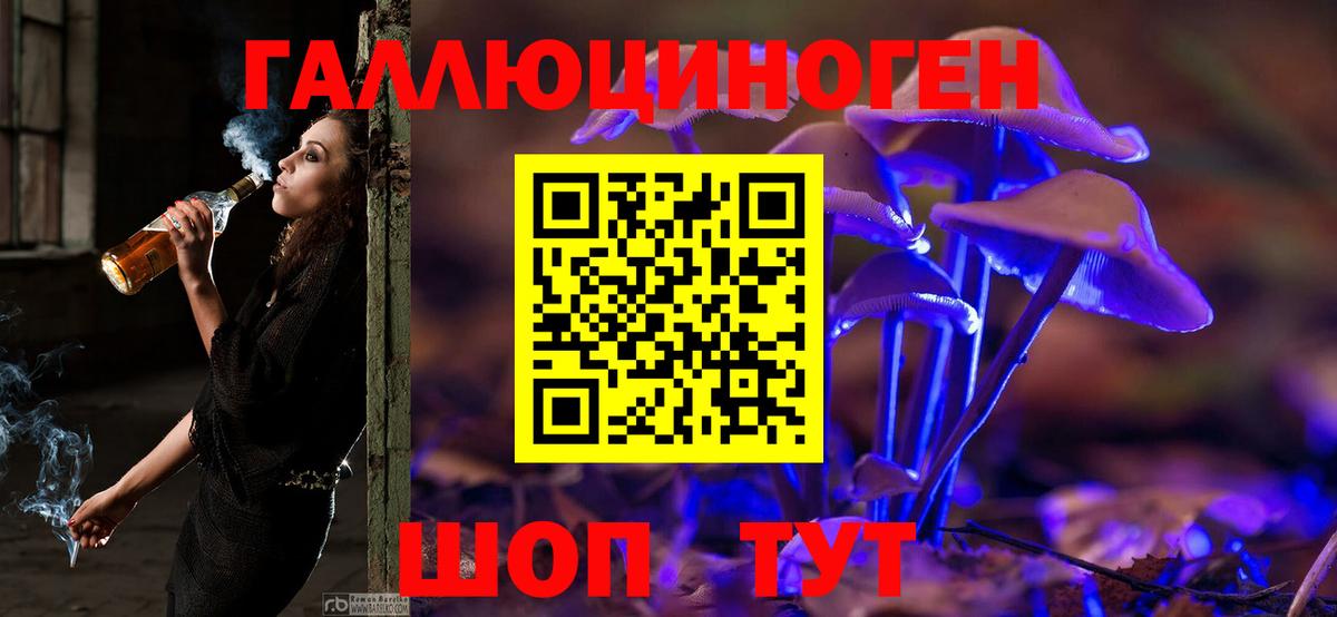Кирово-Чепецк  Псилоцибиновые грибы Psilocybine cubensis  Вход с VPN  Галлюциногенные грибы Cubensis 